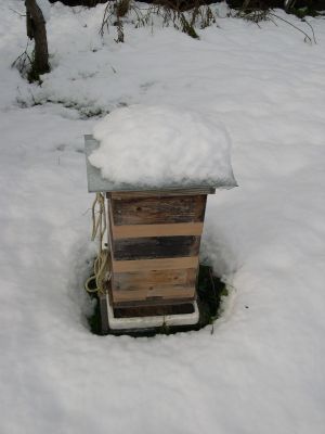 雪に埋もれたニホンミツバチの巣箱